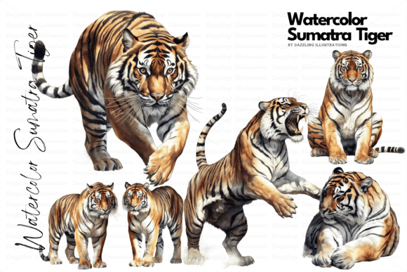 Download Endangered Watercolor Sumatra Tiger Set - Red Collection