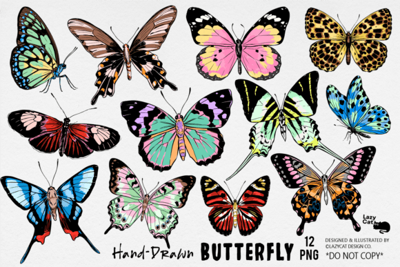 Download Butterfly Illustration PNG Bundle - Fly Collection